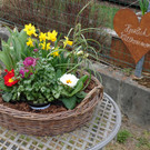Oster- und Frühlingsausstellung