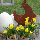 DSC00047.JPG