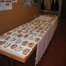 P1010004.jpg