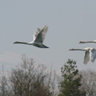 k-IMG_0044.jpg