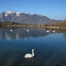k-IMG_1989.JPG