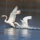 k-IMG_9528.jpg