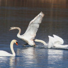 k-IMG_9530.jpg