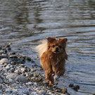 k-IMG_9551.JPG