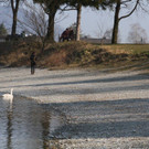 k-IMG_9584.JPG