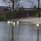 k-IMG_9587.JPG