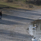 k-IMG_9644.JPG