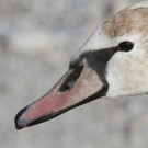 k-IMG_9661.JPG