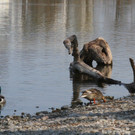 k-IMG_9879.JPG
