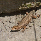 k-IMG_0349.JPG