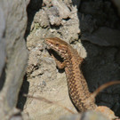 k-IMG_0359.JPG