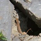 k-IMG_0364.JPG