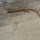 k-IMG_0374.JPG