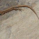 k-IMG_0380.JPG