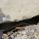 k-IMG_0388.JPG