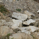k-IMG_0454.JPG