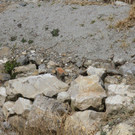 k-IMG_0457.JPG