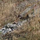k-IMG_0462.JPG