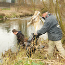 Rheinputzate 15-03-2014 38.jpg