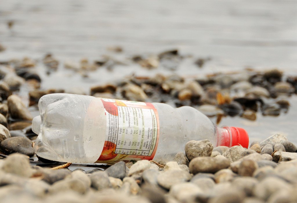 Rheinputzate 15-03-2014 85.jpg