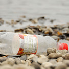 Rheinputzate 15-03-2014 85.jpg