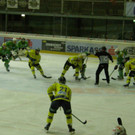 P3070036.JPG