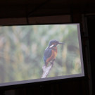 DSC08186.JPG