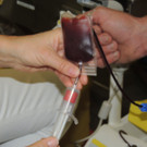 DSCN6259.JPG