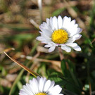 file6e68bc08pt1peemw33h.jpg