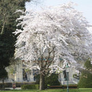 file69orqcu8lwp14yz3qjfb.jpg