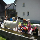 Kindergarten im Einklang mit Tier und Natur