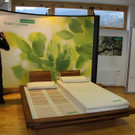 k-IMG_2220.JPG