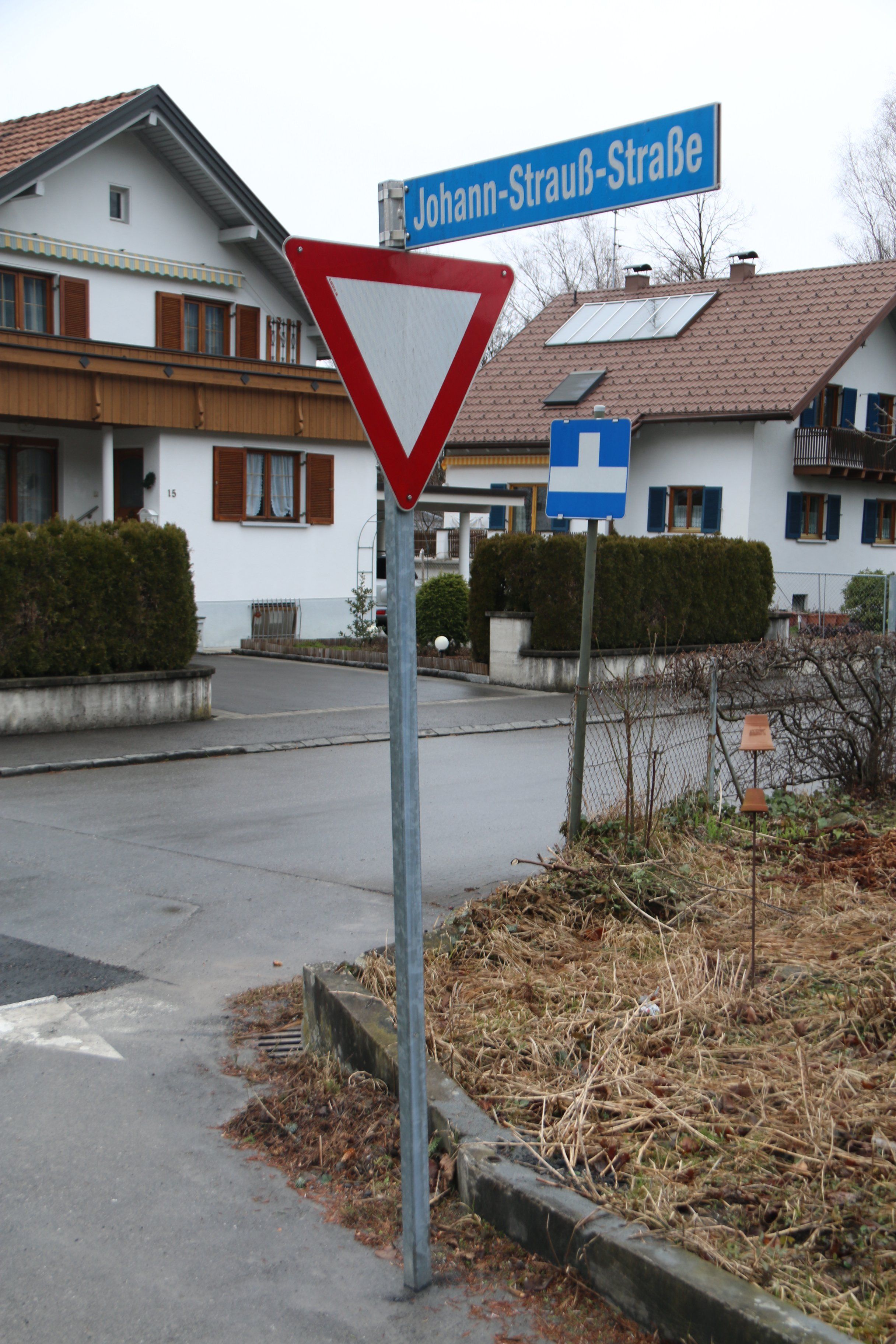 Johann-Strau__-Stra__e1.JPG