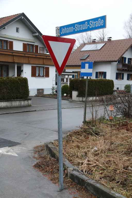 Johann-Strau__-Stra__e1.JPG