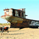 WaWoReiseSchiff.jpg