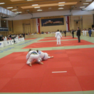 DSCN1613_jpg-1270918886