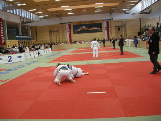 DSCN1613_jpg-1270918886
