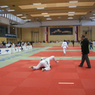 DSCN1615_jpg-1270918891