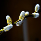 ABD0011-20140224.jpg