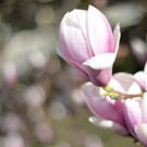 ABD0102-20140318.jpg