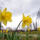 ABD0153-20140316.jpg