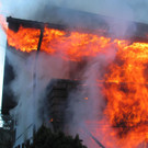 131___01_ IMG_4175.JPG