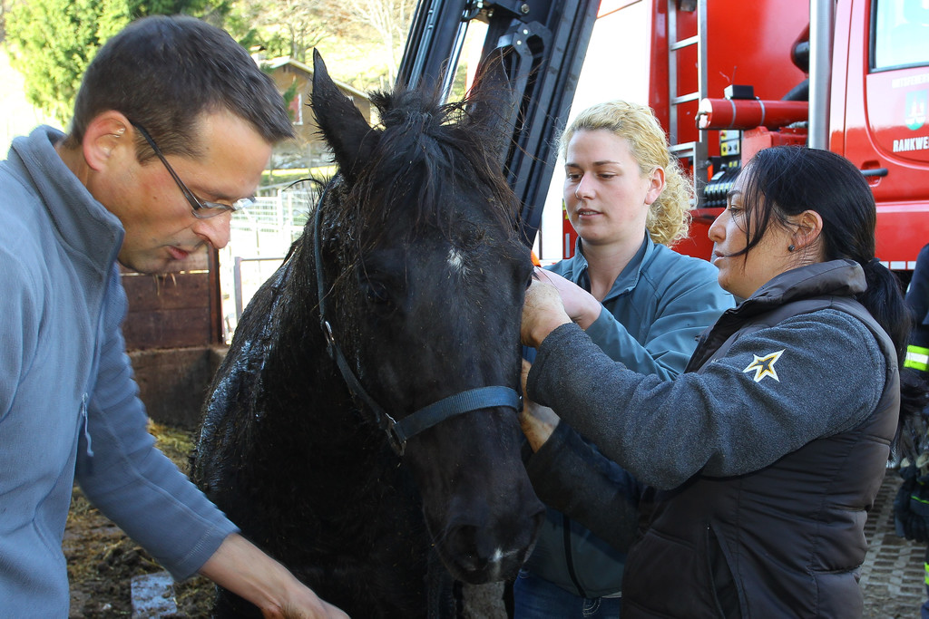 Pferderettung Furx19.jpg