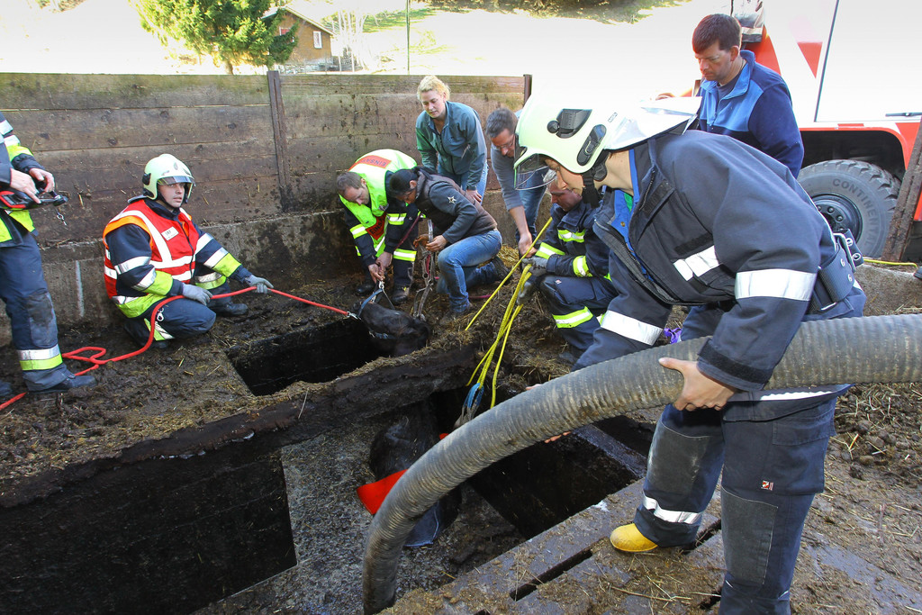 Pferderettung Furx11.jpg