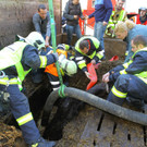 Pferderettung Furx07.jpg