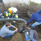 Pferderettung Furx03.jpg