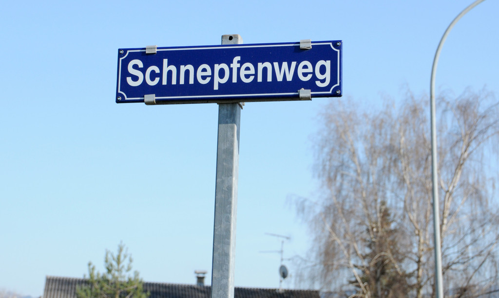 Schnepfenweg Hard.jpg