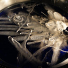 DSC01408.JPG
