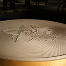 DSC01421.JPG