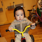IMG_8833_Gr____enver__nderung.JPG